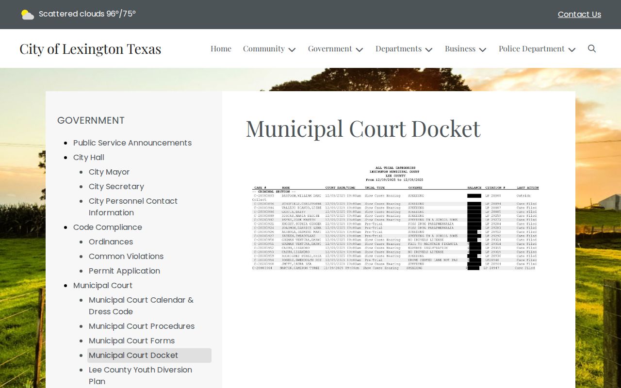 Lexington Municipal Court official docket image page